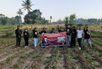 Foto Bersama Relawan Ganjar Milenial Center (GMC) Provinsi NTT Setelah Melakukan Praktek Bertani/Ist